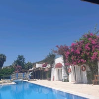 amatoer tuerk ifsa twitter masaj beylikdüzü özel