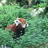 Foto tirada no(a) Seneca Park Zoo por AJ T. em 6/19/2018