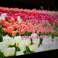 最も気に入った チューリップテレビ 採用 人気のある画像を投稿する