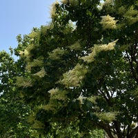 Photo taken at McCarren Park by Monica on 5/24/2023