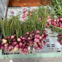 Photo taken at McCarren Park Greenmarket by Monica on 7/9/2022