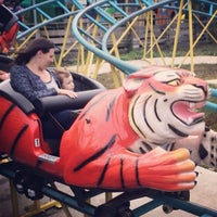 Photo taken at Lowry Park Zoo Tiger Rollercoaster by Matt S. on 12/31/2013