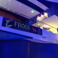 Photo taken at Frogs - A Chorus Of Colors by Charlie V. on 11/20/2012