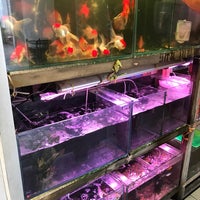 Photo taken at Mei Li Jia Aquarium by Richard S. on 11/8/2017