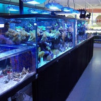 8/9/2014에 Creative Aquariums of Tampa님이 Creative Aquariums of Tampa에서 찍은 사진
