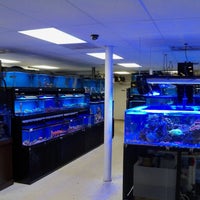8/9/2014에 Creative Aquariums of Tampa님이 Creative Aquariums of Tampa에서 찍은 사진