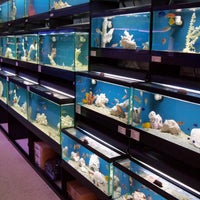 8/9/2014にCreative Aquariums of TampaがCreative Aquariums of Tampaで撮った写真