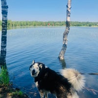 Photo taken at д. Ямкино, озеро by MayyaM on 6/20/2021
