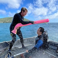 12/19/2021 tarihinde Lawrence L.ziyaretçi tarafından Reef Pirates Scuba Diving'de çekilen fotoğraf