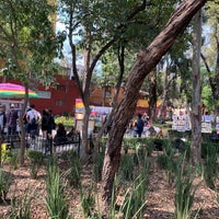 Photo taken at Parque Allende by Paul S. on 1/25/2020
