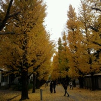 Photo taken at Gingko Trees by T C. on 12/2/2012