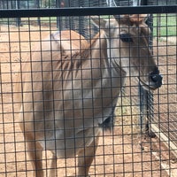 12/14/2020에 Nigel님이 National Zoo &amp;amp; Aquarium에서 찍은 사진