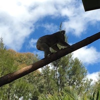 Foto diambil di National Zoo &amp;amp; Aquarium oleh Nigel pada 12/13/2020