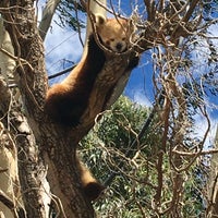 Photo taken at National Zoo &amp;amp; Aquarium by Nigel on 12/13/2020