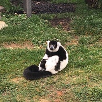 รูปภาพถ่ายที่ National Zoo &amp;amp; Aquarium โดย Nigel เมื่อ 12/14/2020