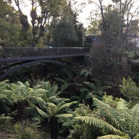 7/1/2020にNigelがAustralian National Botanic Gardensで撮った写真