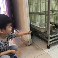 Photo taken at Sawasdee Animal Hospital by Ananpo J. on 3/24/2019