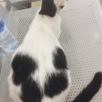 Review Kantor Pelayanan Pajak Pratama (KPP Pratama) - Depok