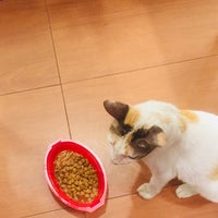 Review Halte Trans Bintaro