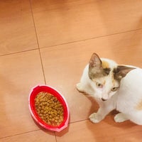 Review Halte Trans Bintaro