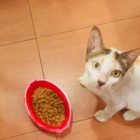 Review Halte Trans Bintaro