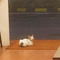 Review Halte Trans Bintaro