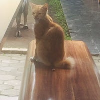 Review Rest Area KM 125