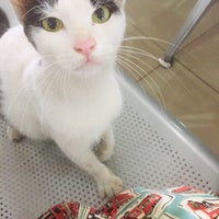 Review Kantor Pelayanan Pajak Pratama (KPP Pratama) - Depok