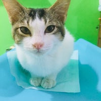 Photo taken at Ciyo Pet Care by OREO on 9/14/2018