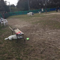 ドッグラン松戸 高塚新田18 5