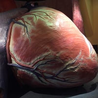 Photo taken at The Giant Heart Exhibit by Richard S. on 7/22/2016