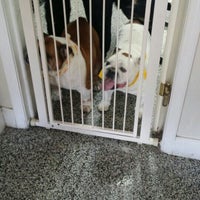Tracy's pet store grooming