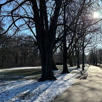 Photo taken at Margaret Island by Koritár R. on 1/20/2024