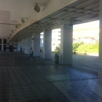 university magna graecia university magna graecia