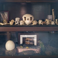 8/19/2014에 Morbid Anatomy Museum님이 Morbid Anatomy Museum에서 찍은 사진