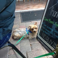 Foto diambil di The Dog Bar &amp;amp; Grille oleh Ms Luz pada 4/10/2014