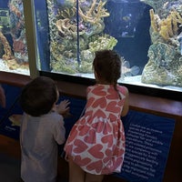 3/12/2023 tarihinde Amy B.ziyaretçi tarafından South Florida Science Center and Aquarium'de çekilen fotoğraf