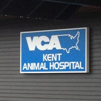 vca kent animal hospital