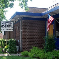 8/11/2016にHilton Hospital for AnimalsがHilton Hospital for Animalsで撮った写真