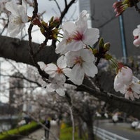 Photo taken at 隅田川テラス 新川ツインビル前 by hiro m. on 3/27/2023