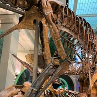 Photo taken at Dinosaurs/Hall of Paleobiology Exhibit by Wendy P. on 10/21/2019