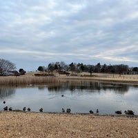 Photo taken at Musashino-no-mori Park by Yu on 2/4/2024