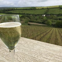 Camel Valley Vineyard - 7 tips from 161 visitors