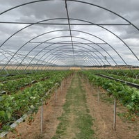7/15/2022 tarihinde Andrew C.ziyaretçi tarafından Farmer Copleys'de çekilen fotoğraf