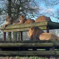 Photo taken at Knowsley Safari by Andrew C. on 1/3/2022