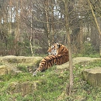 Photo taken at Knowsley Safari by Andrew C. on 1/3/2022
