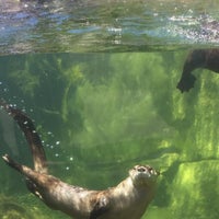 Das Foto wurde bei Sequoia Park Zoo von K-Þórır D. am 5/30/2021 aufgenommen