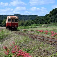 石神の菜の花畑 Other Great Outdoors In 市原市 石神の菜の花畑 Other Great Outdoors In 市原市