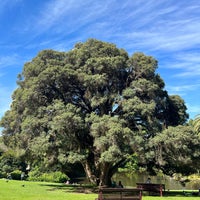 Снимок сделан в Royal Botanic Gardens пользователем Baitoey . 11/10/2023