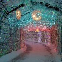 洞爺湖温泉イルミネーショントンネル Tunnel In 洞爺湖町洞爺湖温泉69